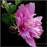 20100313
